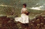 Winslow Homer Peach bloom china oil painting artist